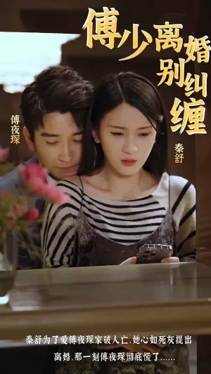 傅少,离婚别纠缠海报