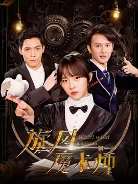 旋风魔术师海报