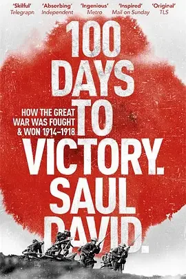 一战最后的一百天海报