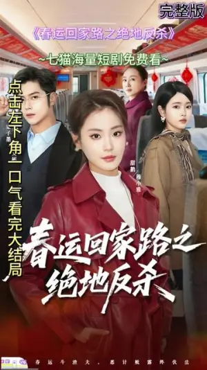 春运回家路之绝地反杀海报