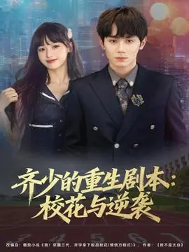 齐少的重生剧本校花与逆袭海报