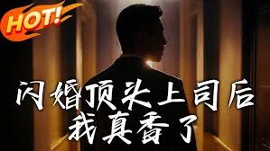 闪婚顶头上司后我真香了海报