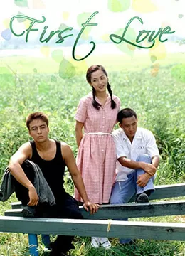 初恋海报