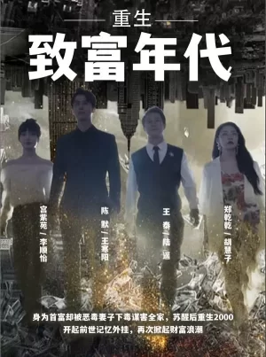 重生致富年代海报