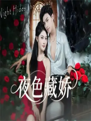 夜色藏娇未删减版海报