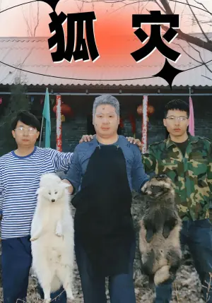 狐灾海报