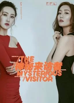 神秘来访者海报