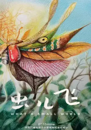虫儿飞海报