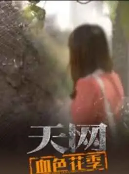 天网:血色花季海报