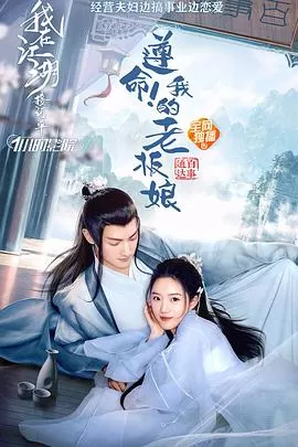 遵命!我的老板娘海报