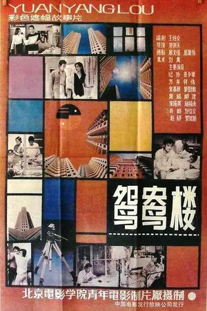鸳鸯楼海报