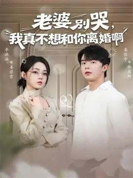 老婆别哭,我真不想和你离婚啊海报