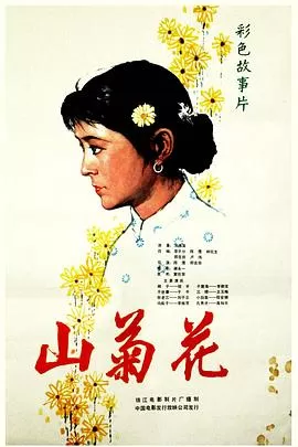 山菊花[电影解说]海报