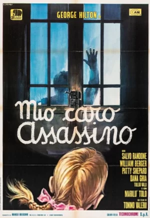 我亲爱的杀手海报