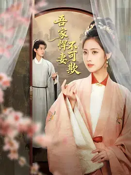 吾家悍妻不可欺海报