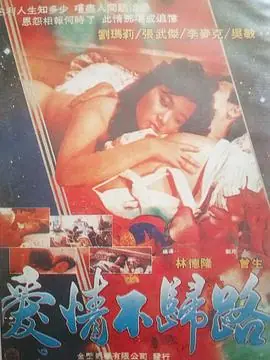 愛情不歸路爱情不归路海报