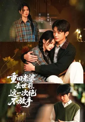 重回老婆去世前,这一次绝不放手海报