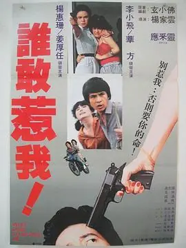 谁敢惹我海报