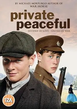 柑橘与柠檬啊PrivatePeaceful海报