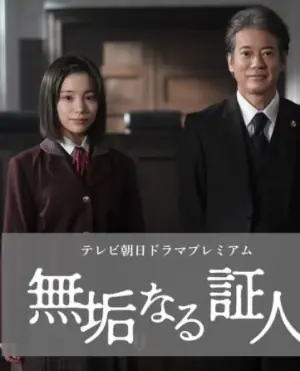 无垢的证人海报