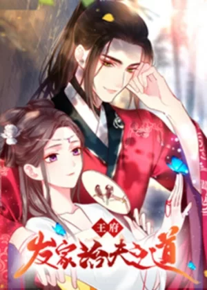 王府发家治夫之道海报