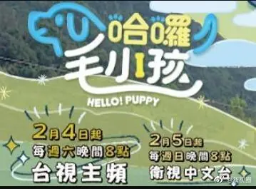 哈啰!毛小孩海报