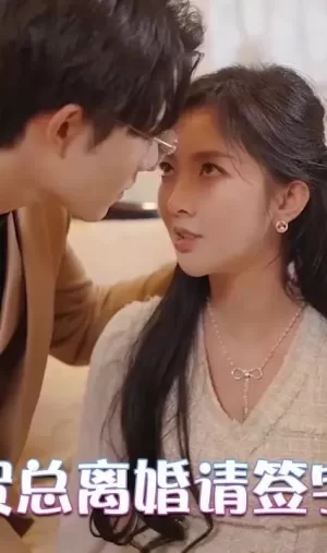 贺总离婚请签字海报