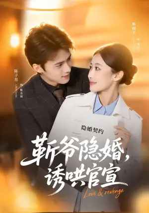 靳爷隐婚,诱哄官宣海报