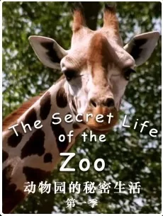 动物园的秘密生活第一季海报