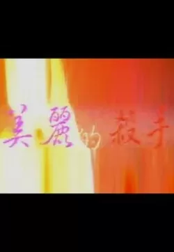 美丽的杀手海报