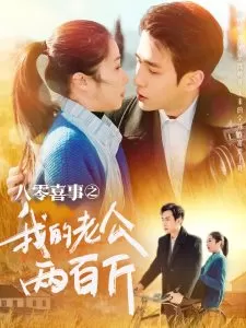 八零喜事之我的老公两百斤海报