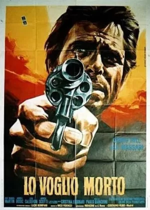 独行侠锄奸歼仇海报