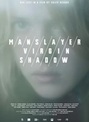 杀手/处女/影子海报