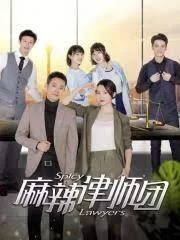 麻辣律师团第二季海报