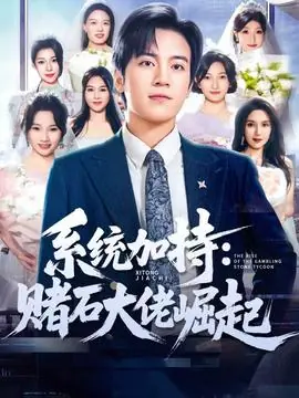 统加持:赌石大佬崛起海报