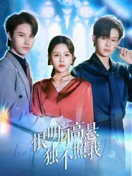 恨明月高悬独不照我海报