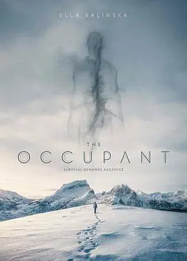 冻土潜行TheOccupant海报