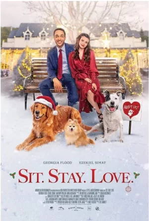 圣诞节的狗日海报