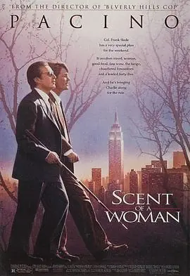 女人的阴影海报