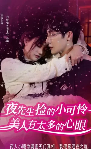 夜先生捡的小可怜美人有太多的心眼海报