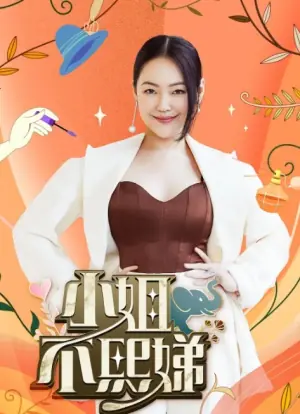 小姐不熙娣2024海报