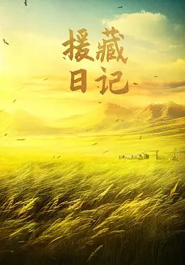 援藏日记海报