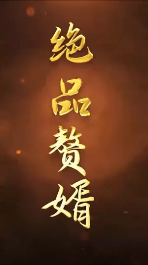 绝品赘婿海报