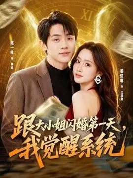 跟大小姐闪婚第一天,我觉醒系统海报