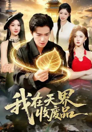 我在天界收废品海报