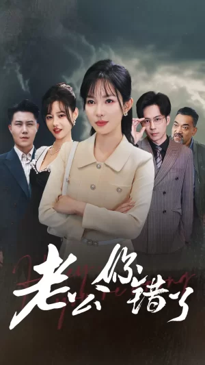 老公你错了海报