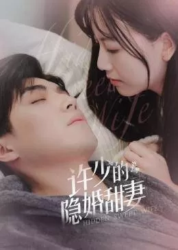许少的隐婚甜妻第二季海报