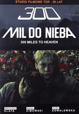 三百英里天堂海报