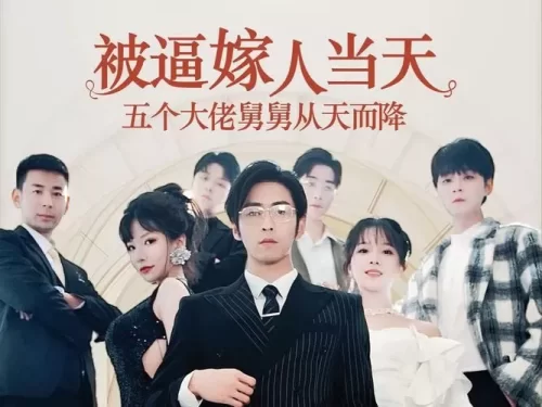 被逼嫁人当天五个大佬舅舅从天而降海报