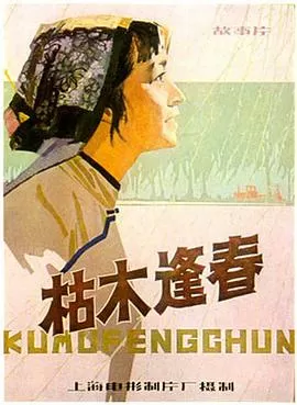 枯木逢春海报